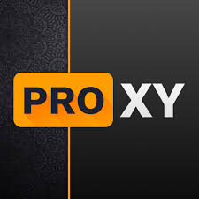 Proxy Proxy